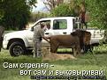 Нажмите на изображение для увеличения.

Название:	426828.jpg
Просмотров:	1553
Размер:	34.6 Кб
ID:	3365399