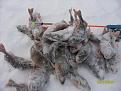 Нажмите на изображение для увеличения.

Название:	SDC10231.jpg
Просмотров:	1169
Размер:	58.0 Кб
ID:	3365855