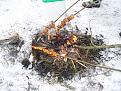 Нажмите на изображение для увеличения.

Название:	100_4258-2.jpg
Просмотров:	1075
Размер:	163.8 Кб
ID:	3365888