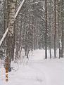 Нажмите на изображение для увеличения.

Название:	Фотозарисовка.jpg
Просмотров:	1718
Размер:	79.4 Кб
ID:	3365922