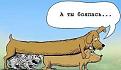 Нажмите на изображение для увеличения.

Название:	1253886103_karikatury_20.jpg
Просмотров:	537
Размер:	21.1 Кб
ID:	3366243
