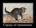 Нажмите на изображение для увеличения.

Название:	8831_7.jpg
Просмотров:	1669
Размер:	49.1 Кб
ID:	3366283