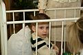 Нажмите на изображение для увеличения.

Название:	_DSC4519.jpg
Просмотров:	372
Размер:	154.6 Кб
ID:	3366391