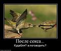 Нажмите на изображение для увеличения.

Название:	409377_posle-seksa.jpg
Просмотров:	659
Размер:	47.7 Кб
ID:	3367172