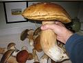 Нажмите на изображение для увеличения.

Название:	IMG_7082.jpg
Просмотров:	701
Размер:	128.9 Кб
ID:	3367969