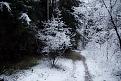Нажмите на изображение для увеличения.

Название:	winter1.jpg
Просмотров:	533
Размер:	90.4 Кб
ID:	3368027