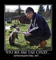 Нажмите на изображение для увеличения.

Название:	demotivator_39.jpg
Просмотров:	1294
Размер:	62.3 Кб
ID:	3368088