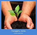 Нажмите на изображение для увеличения.

Название:	motyyqqdv-004.jpg
Просмотров:	261
Размер:	59.0 Кб
ID:	3368725