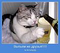 Нажмите на изображение для увеличения.

Название:	motyyqqdv-009.jpg
Просмотров:	260
Размер:	54.5 Кб
ID:	3368726