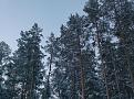 Нажмите на изображение для увеличения.

Название:	HPIM0128.jpg
Просмотров:	249
Размер:	199.6 Кб
ID:	3369447