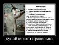 Нажмите на изображение для увеличения.

Название:	083.jpg
Просмотров:	1381
Размер:	85.9 Кб
ID:	3370055