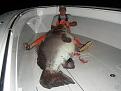Нажмите на изображение для увеличения.

Название:	big_bass_1.jpg
Просмотров:	857
Размер:	30.1 Кб
ID:	3370231