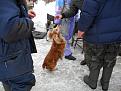 Нажмите на изображение для увеличения.

Название:	DSCN0319.jpg
Просмотров:	426
Размер:	58.6 Кб
ID:	3370829