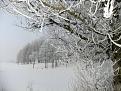 Нажмите на изображение для увеличения.

Название:	(1234 of 1).jpg
Просмотров:	1639
Размер:	90.9 Кб
ID:	3372435