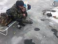 Нажмите на изображение для увеличения.

Название:	Reefman в ожидании.jpg
Просмотров:	1628
Размер:	123.7 Кб
ID:	3372516