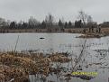 Нажмите на изображение для увеличения.

Название:	SDC11315.jpg
Просмотров:	694
Размер:	101.5 Кб
ID:	3373434