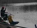 Нажмите на изображение для увеличения.

Название:	fishers 3.JPG
Просмотров:	851
Размер:	169.5 Кб
ID:	3373923