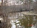 Нажмите на изображение для увеличения.

Название:	DSC02997.JPG
Просмотров:	863
Размер:	141.8 Кб
ID:	3374034