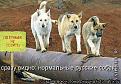 Нажмите на изображение для увеличения.

Название:	1262962362_kotomatrix_062.jpg
Просмотров:	481
Размер:	38.7 Кб
ID:	3374261