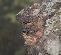 Нажмите на изображение для увеличения.

Название:	2010-04-20.jpg
Просмотров:	530
Размер:	131.0 Кб
ID:	3374574