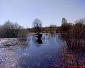 Нажмите на изображение для увеличения.

Название:	DSC00037.jpg
Просмотров:	959
Размер:	167.0 Кб
ID:	3374854