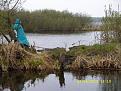 Нажмите на изображение для увеличения.

Название:	SS850013.jpg
Просмотров:	1048
Размер:	151.1 Кб
ID:	3375041