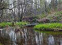 Нажмите на изображение для увеличения.

Название:	river2.jpg
Просмотров:	547
Размер:	187.1 Кб
ID:	3375476