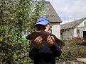 Нажмите на изображение для увеличения.

Название:	P10-05-10_13.43.jpg
Просмотров:	1145
Размер:	169.3 Кб
ID:	3376551