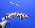 Нажмите на изображение для увеличения.

Название:	sow-bug-fly2.jpg
Просмотров:	383
Размер:	160.6 Кб
ID:	3377927