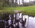 Нажмите на изображение для увеличения.

Название:	SP_A0565.jpg
Просмотров:	5674
Размер:	146.8 Кб
ID:	3378269