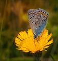 Нажмите на изображение для увеличения.

Название:	IMG_3149_1-res.jpg
Просмотров:	319
Размер:	192.6 Кб
ID:	3378606