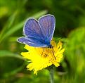 Нажмите на изображение для увеличения.

Название:	IMG_3154.jpg
Просмотров:	315
Размер:	151.3 Кб
ID:	3378608