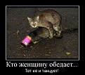 Нажмите на изображение для увеличения.

Название:	1275004656_2.jpg
Просмотров:	1418
Размер:	30.0 Кб
ID:	3379200