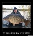 Нажмите на изображение для увеличения.

Название:	1275697583_1.jpg
Просмотров:	1444
Размер:	24.9 Кб
ID:	3379201