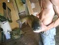 Нажмите на изображение для увеличения.

Название:	Суппер_fish_2.jpg
Просмотров:	1415
Размер:	50.3 Кб
ID:	3382111