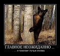 Нажмите на изображение для увеличения.

Название:	demotivator137.jpg
Просмотров:	1421
Размер:	73.6 Кб
ID:	3383110