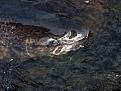 Нажмите на изображение для увеличения.

Название:	salmon.jpg
Просмотров:	447
Размер:	57.5 Кб
ID:	3383485