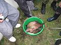 Нажмите на изображение для увеличения.

Название:	IMG_0273.jpg
Просмотров:	453
Размер:	178.7 Кб
ID:	3388291