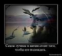 Нажмите на изображение для увеличения.

Название:	1282241656_1266401121_772856_samoe-luchshee-v-zhizni-stoit-togo-chtobyi-ego-podozhdat.jpg
Просмотров:	455
Размер:	29.4 Кб
ID:	3388411