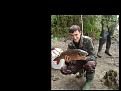 Нажмите на изображение для увеличения.

Название:	Карп.jpg
Просмотров:	1331
Размер:	92.5 Кб
ID:	3389764