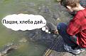 Нажмите на изображение для увеличения.

Название:	post-3-12855105603091[1].jpg
Просмотров:	1437
Размер:	59.2 Кб
ID:	3390641