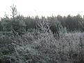 Нажмите на изображение для увеличения.

Название:	д 010.JPG
Просмотров:	773
Размер:	158.2 Кб
ID:	3391546