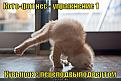 Нажмите на изображение для увеличения.

Название:	koto-fitnes_1285783771[1].jpg
Просмотров:	1385
Размер:	42.5 Кб
ID:	3396487