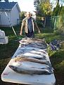 Нажмите на изображение для увеличения.

Название:	salmon3.JPG
Просмотров:	666
Размер:	71.2 Кб
ID:	3396597