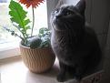 Нажмите на изображение для увеличения.

Название:	img 413.jpg
Просмотров:	526
Размер:	169.0 Кб
ID:	3397708