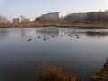Нажмите на изображение для увеличения.

Название:	31102010013.jpg
Просмотров:	466
Размер:	183.1 Кб
ID:	3398327