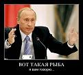 Нажмите на изображение для увеличения.

Название:	путин 1.JPG
Просмотров:	1247
Размер:	23.7 Кб
ID:	3398748