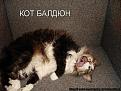 Нажмите на изображение для увеличения.

Название:	kotomatrix_4_036[1].jpg
Просмотров:	592
Размер:	84.1 Кб
ID:	3398913