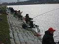 Нажмите на изображение для увеличения.

Название:	IMG_3223.jpg
Просмотров:	441
Размер:	166.0 Кб
ID:	3399101