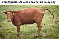 Нажмите на изображение для увеличения.

Название:	1276173272_1275832369_addfun.ru.jpg
Просмотров:	1422
Размер:	75.8 Кб
ID:	3399979